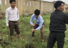Xã Nga Giáp tổ chức phát động tết trồng cây Xuân Kỷ Hợi 2019