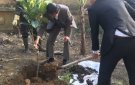 UBND xã Nga Giáp tổ chức trồng cây mùa xuân "Tết trồng cây đời đời nhớ ơn Bác Hồ" Xuân Canh Tý 2020