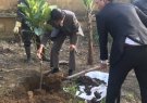UBND xã Nga Giáp tổ chức trồng cây mùa xuân "Tết trồng cây đời đời nhớ ơn Bác Hồ" Xuân Canh Tý 2020